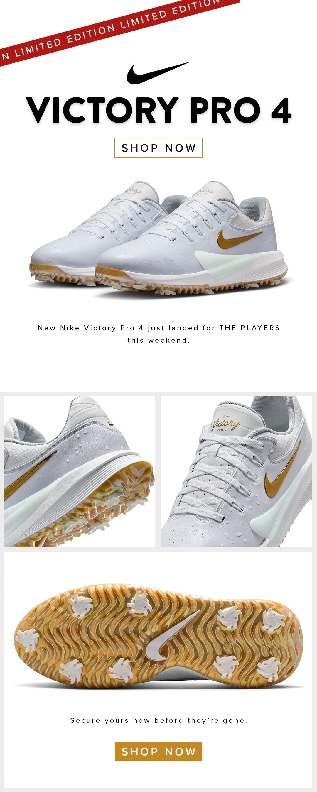 Nike PLAYERS-4x5 copy 2.jpg