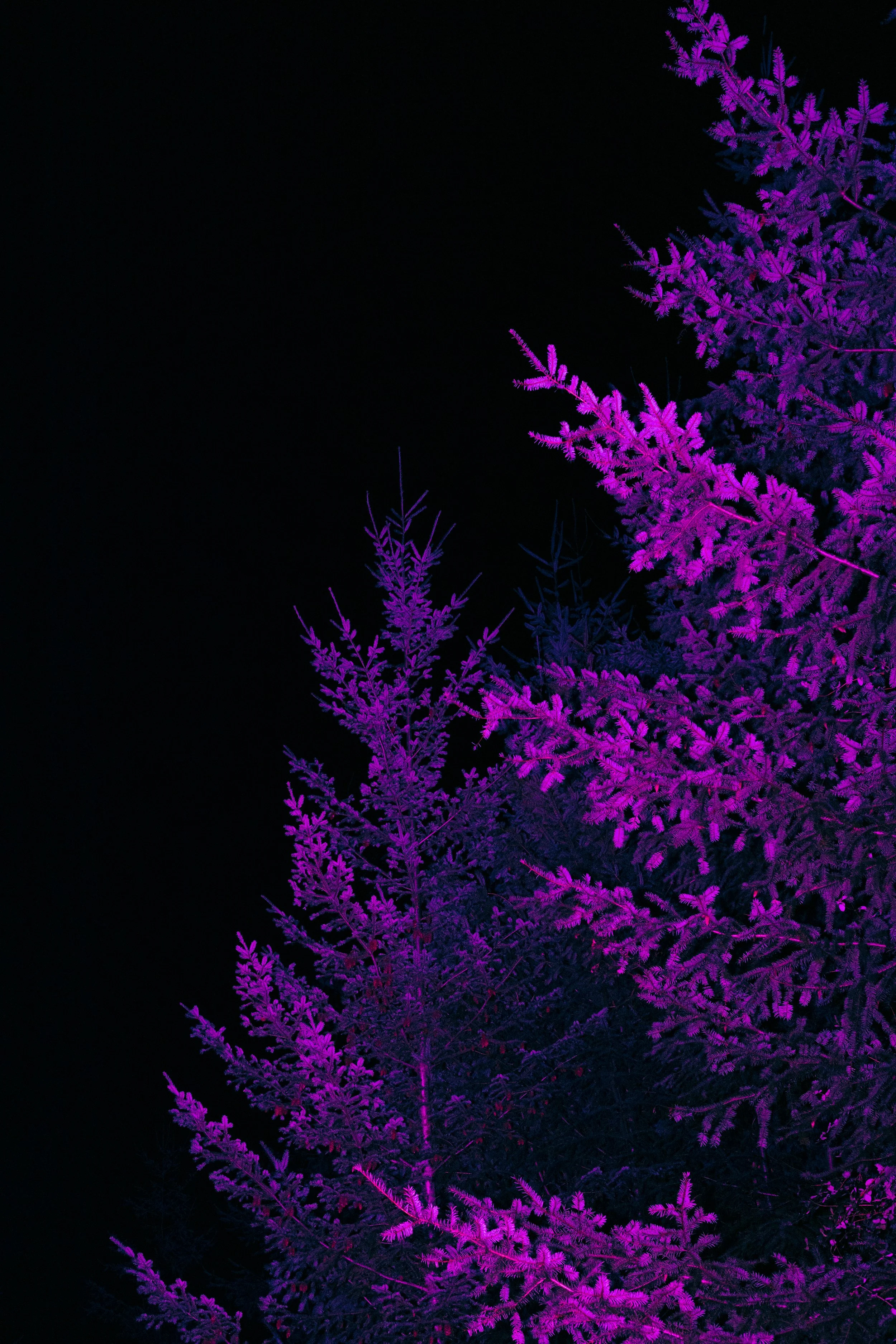 6780.jpg
