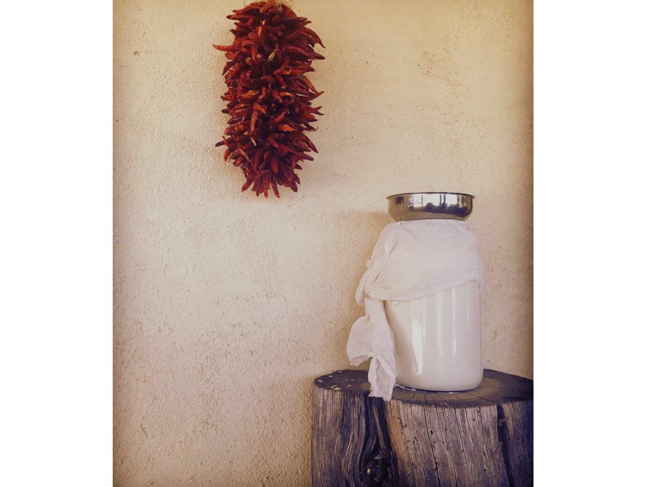 Untitled design-5.png