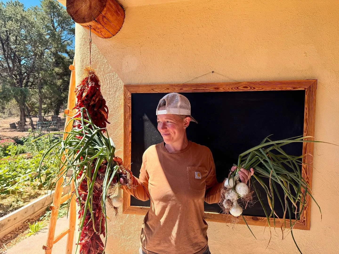 Fresh onions just picked from our garden makes this Italian veeeeery happy. 🇮🇹🧅 #womenwhofarm #farming #onionfarmer #onions #farmlife #newmexicostyle #newmexicolove #northernnewmexico