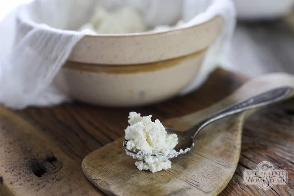 how-to-make-ricotta-4.jpg