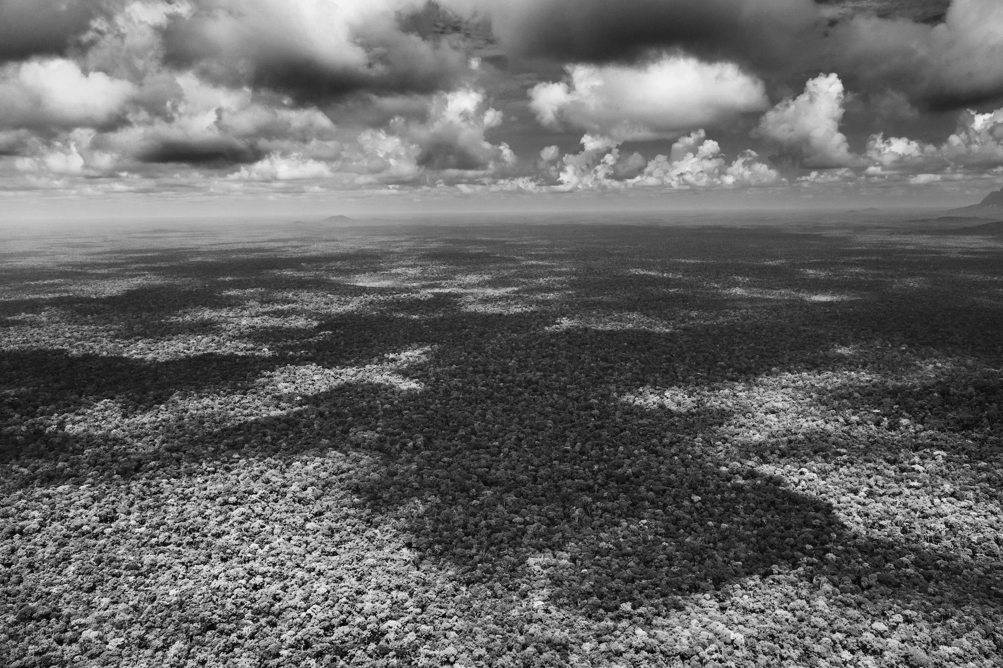 Sebastiao Salgado 
Amazonia #700 NFT