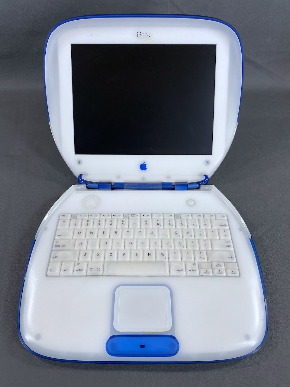 APPLE iBook IBOOK M7721J/A INDIGO