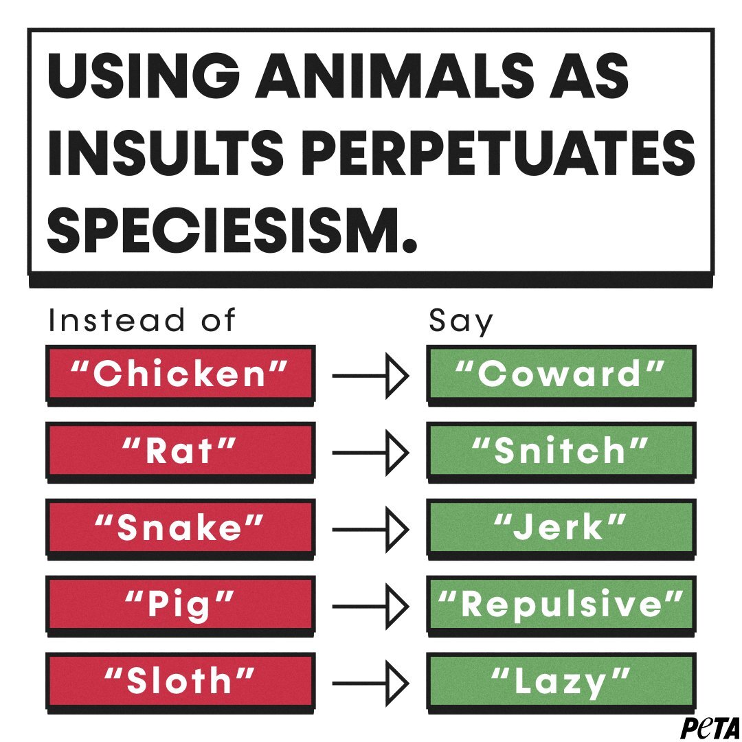 Graphic Tweeted by PETA on January 26th