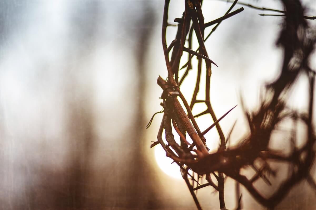 A Good Friday Reflection: Psalm 22

Psalm 22 starts out with words that may be familiar &mdash; words Jesus uttered from the cross as He quoted the beginning lines. As we read this psalm, we can walk through His suffering and grasp what may have been