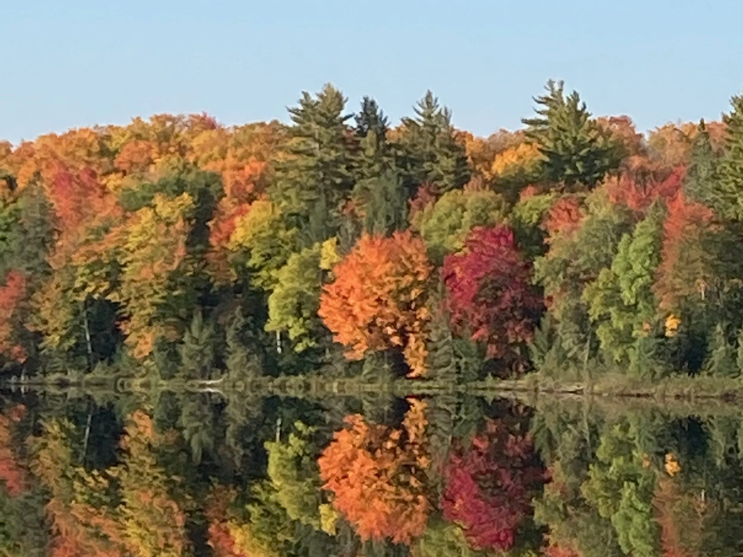 Five Ways to Transition Well