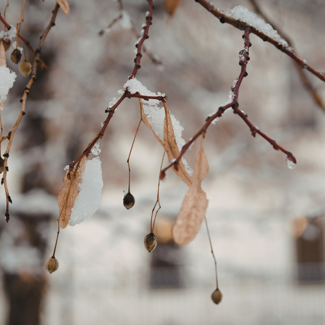 1 - 7 de Febrero 2026