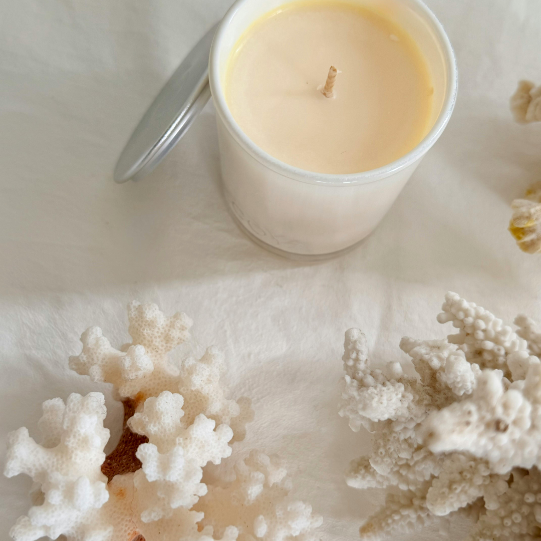 15 -22 de Febrero 2026