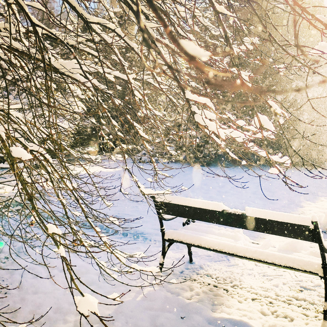 February 22-28, 2026