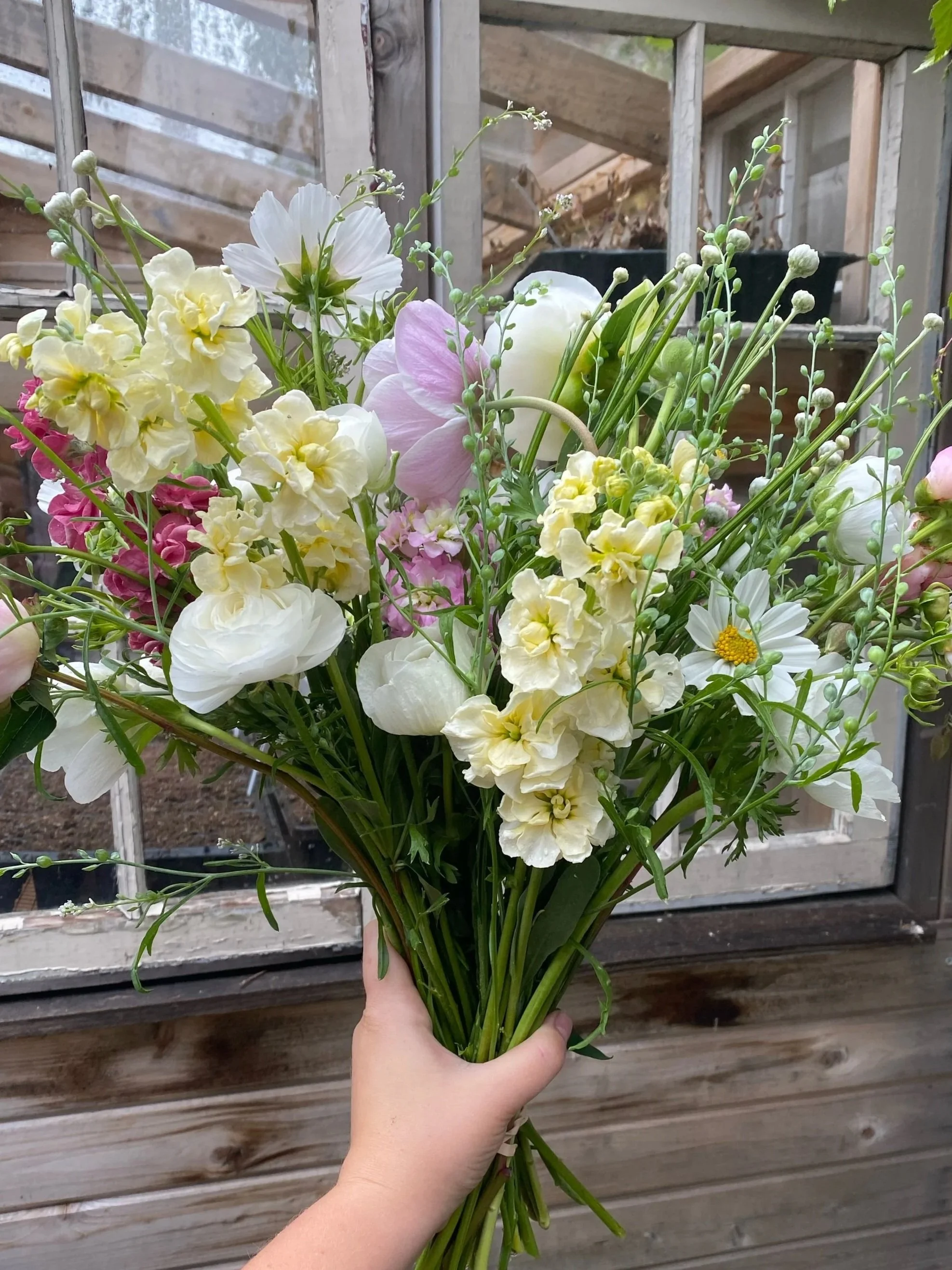 These Are For You!