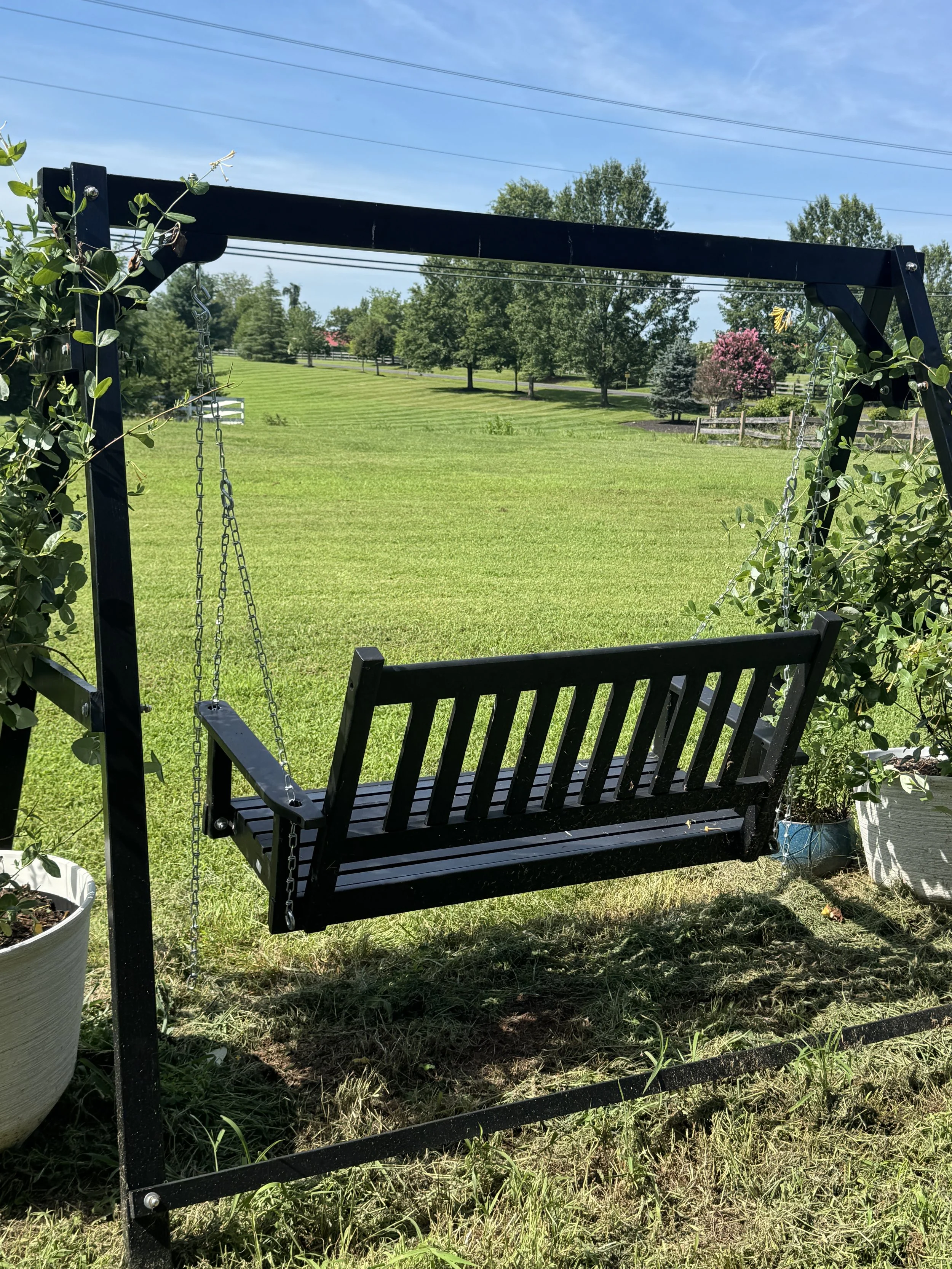 Sitting in the Shade