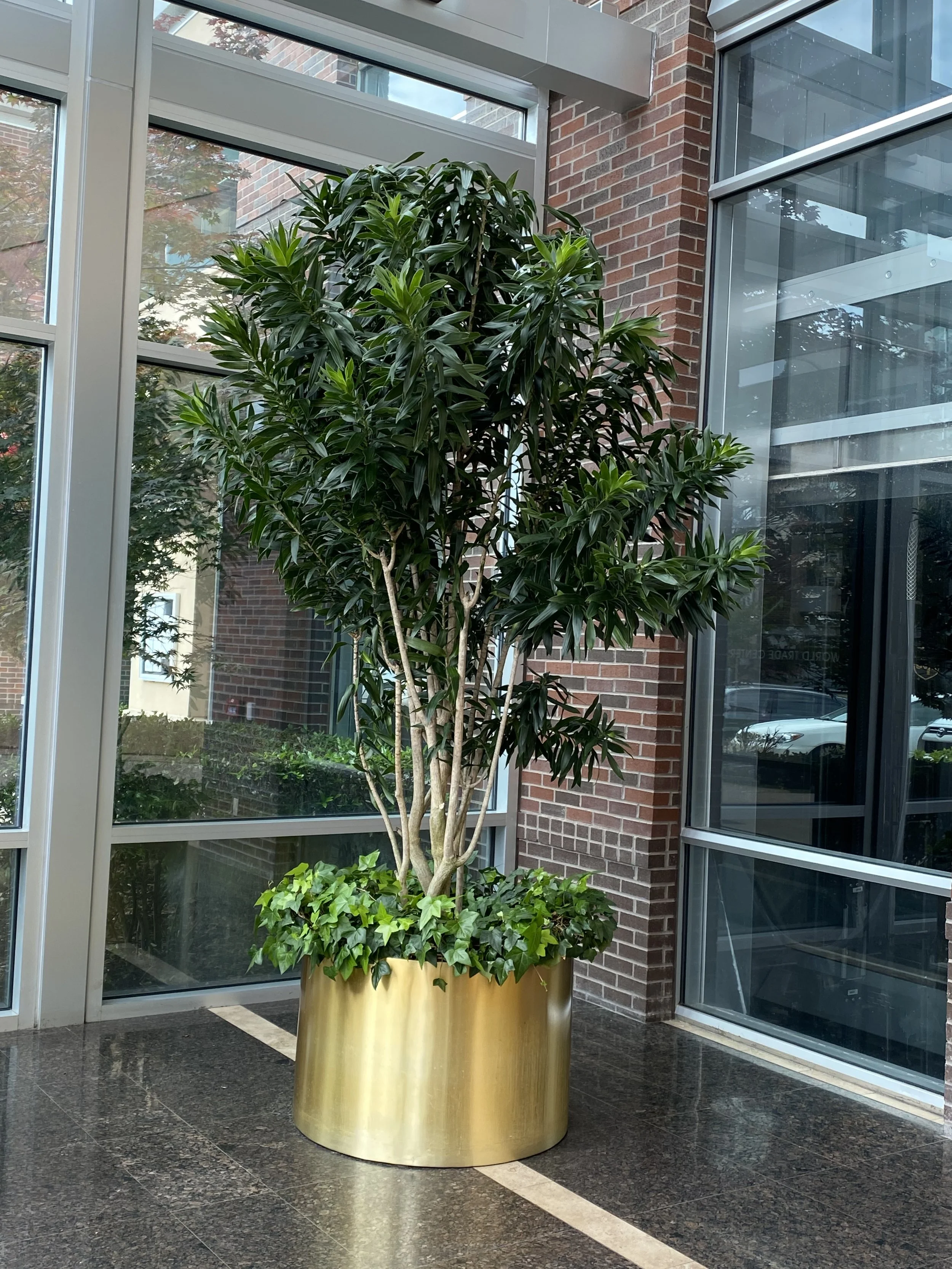 Interior Plant Services — Interior Plant Co