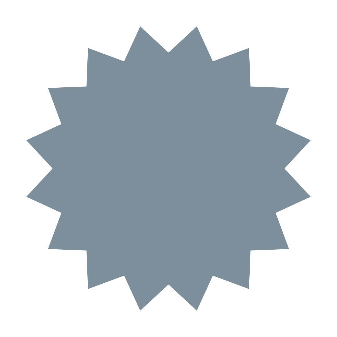 Gray starburst shape with multiple pointed edges.