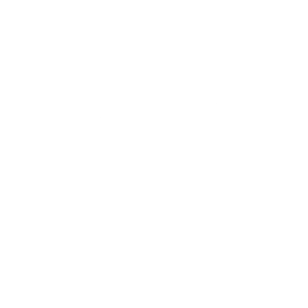 LoveYourBrain_Logo_White_a990646c-9c9b-4516-a744-e0ebad2833be_1024x1024.webp