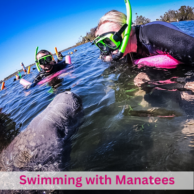 Swimming-with-manatees-crystal-river-fl