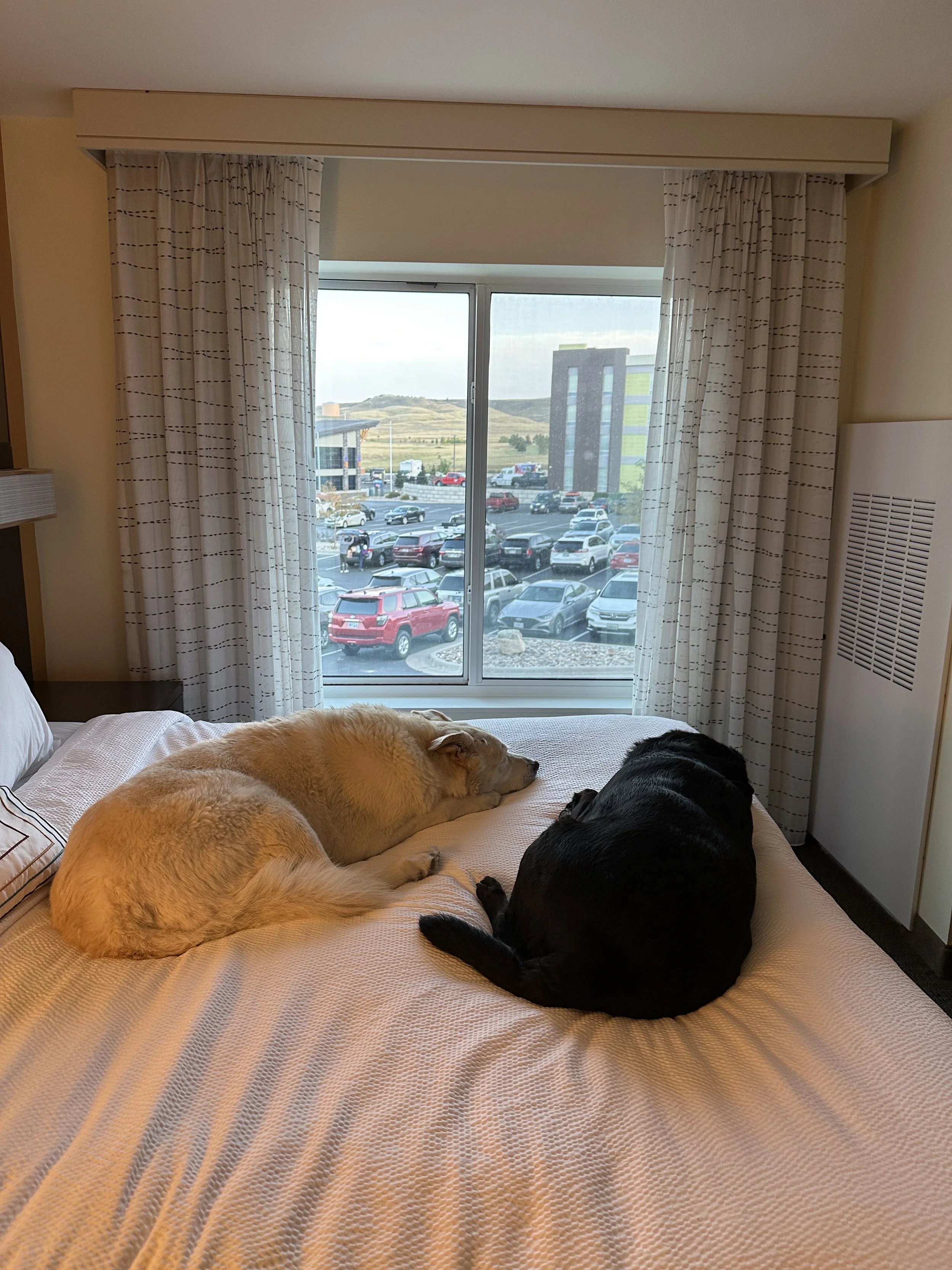 Residence Inn Rapid City.JPG