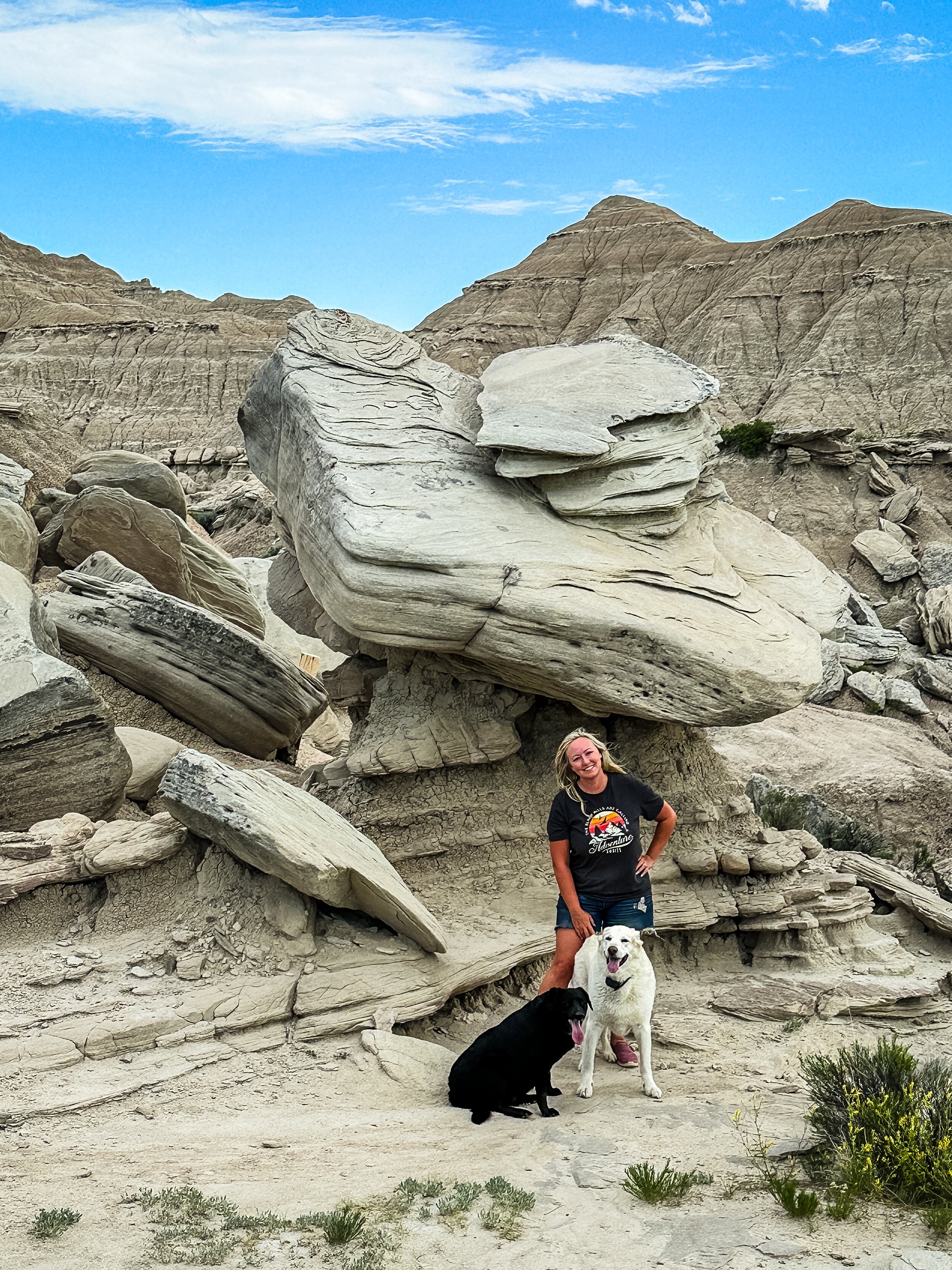 Toadstool June 2024-2.JPG