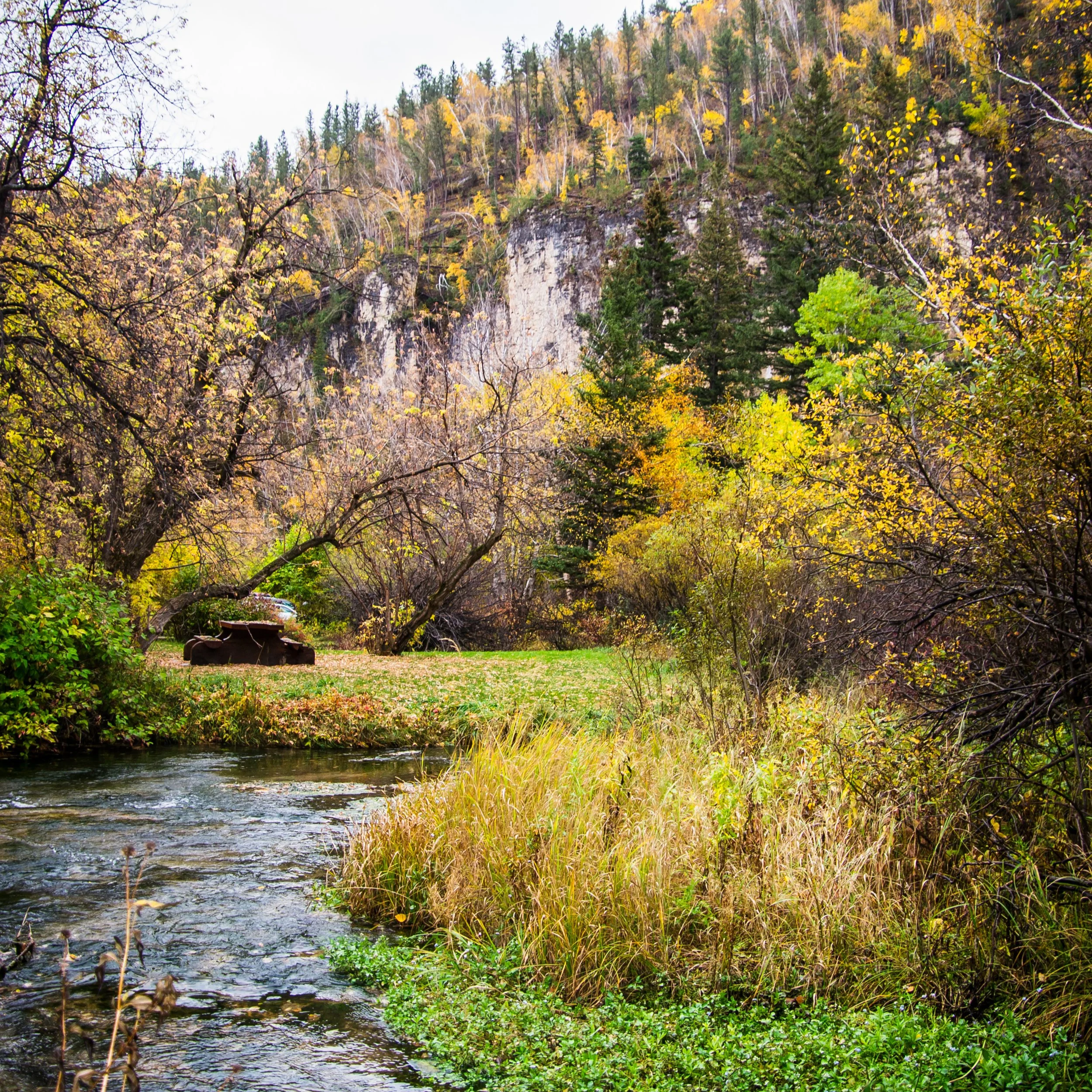 Spearfish+Canyon+Fall.png