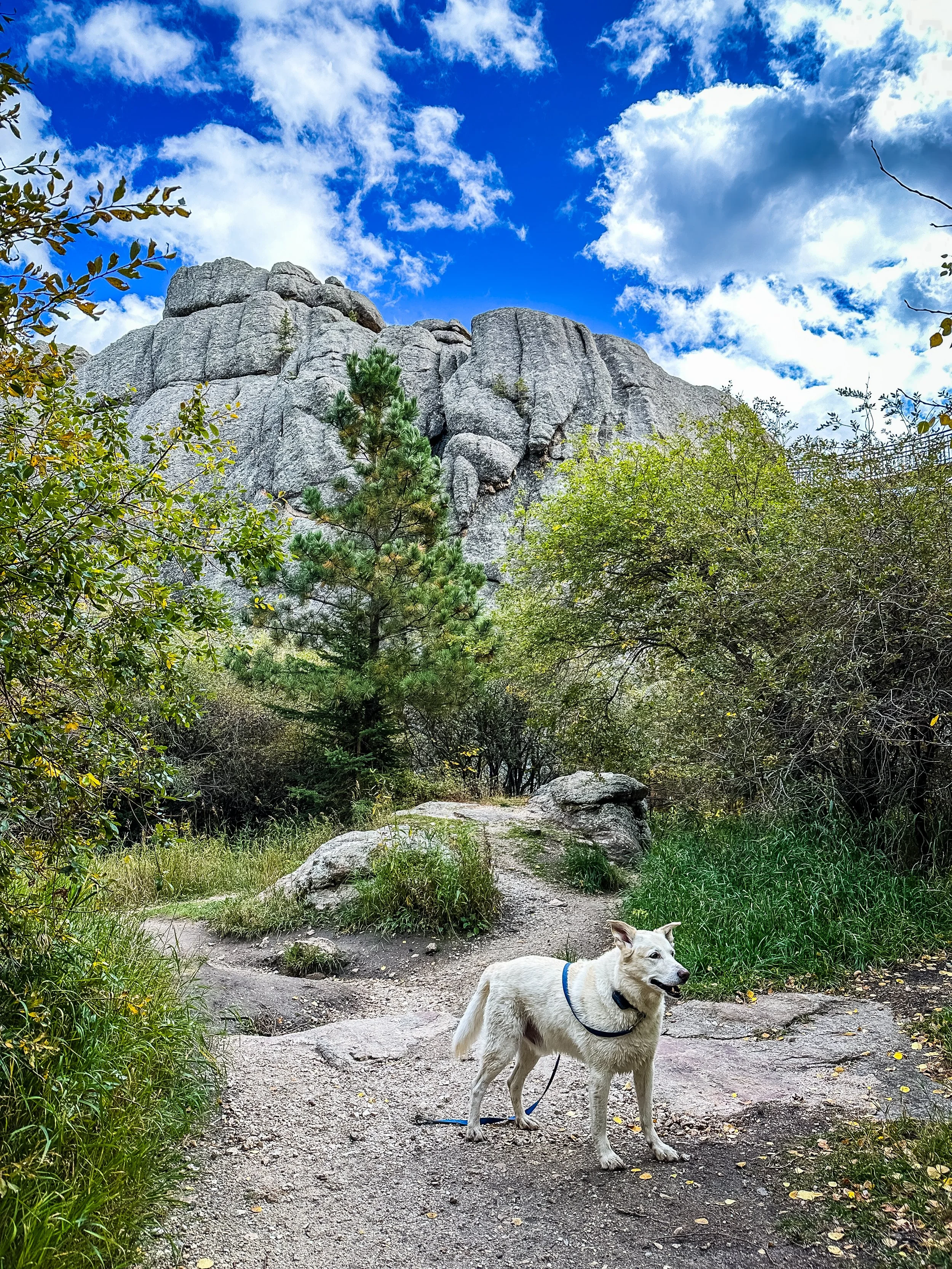 Sylvan Lake Zeus.JPG