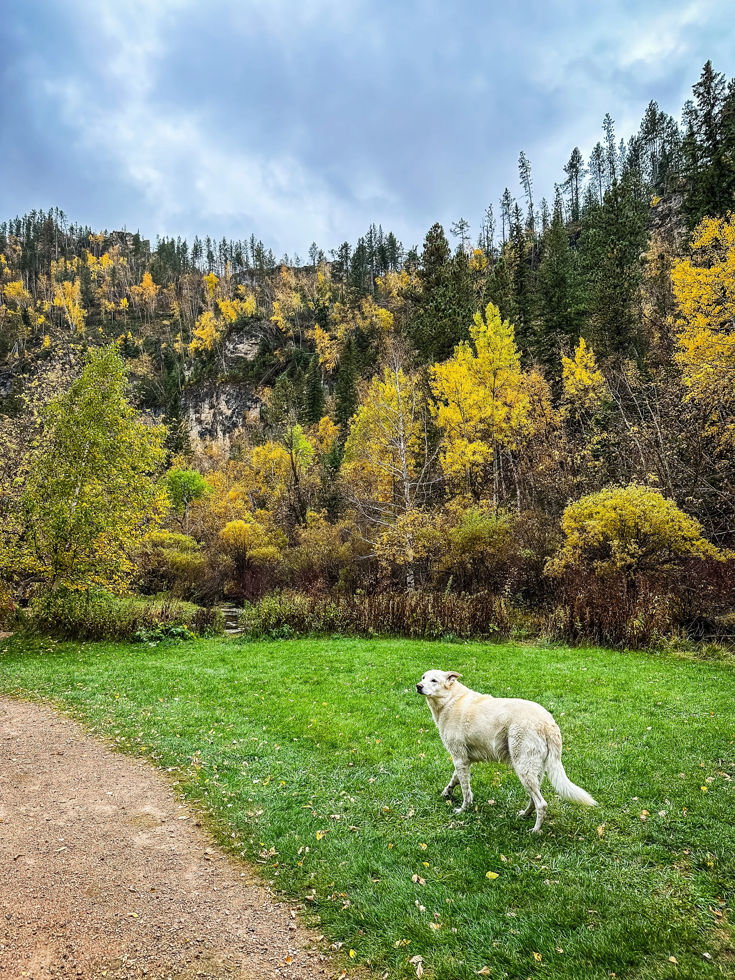 Zeus in Spearfish Canyon.JPG