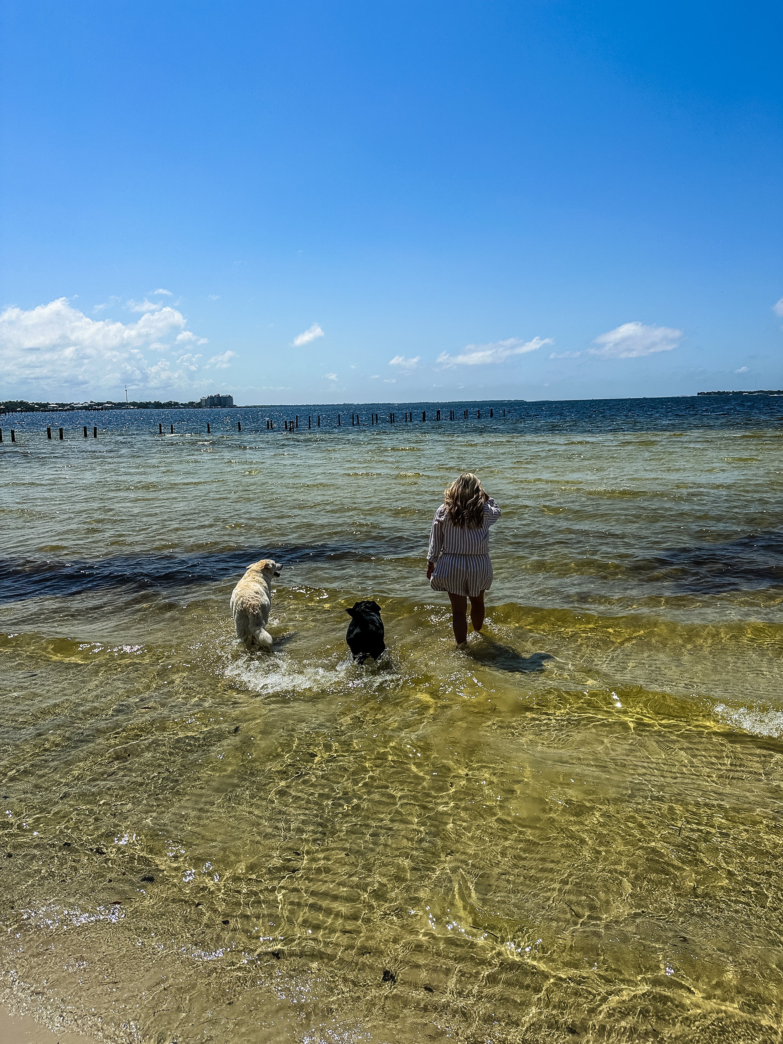 Erica and Dogs on Beach Panama City.JPG