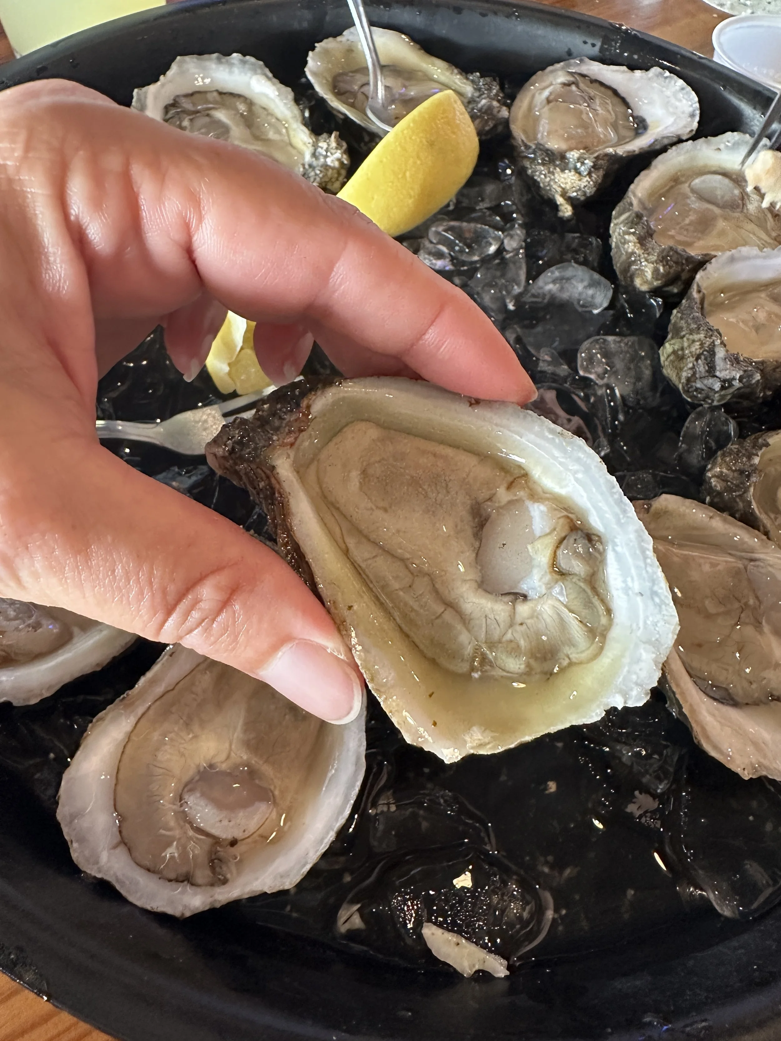 Panama City Food-5.JPG