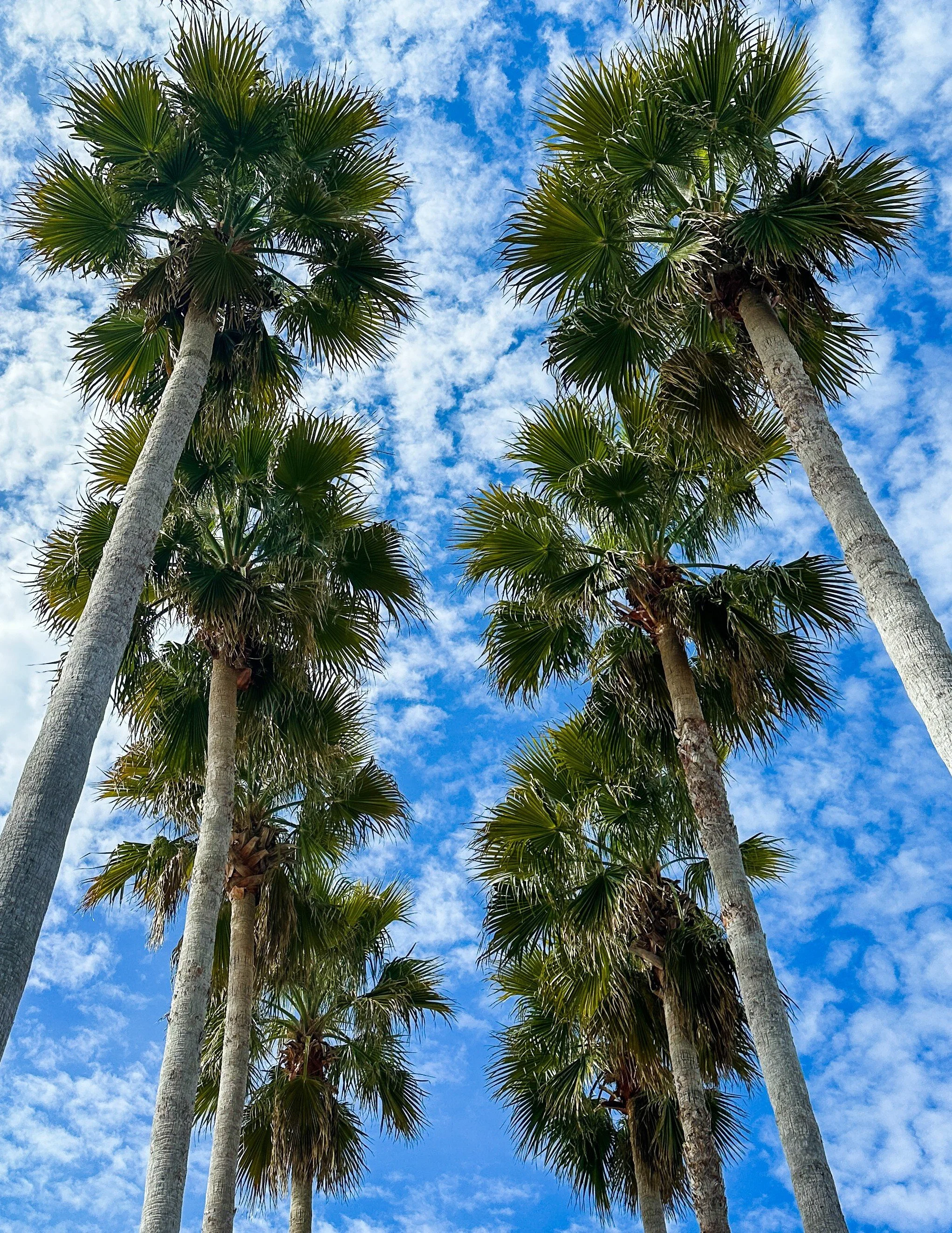 IMG_0508 Cropped 1.jpg