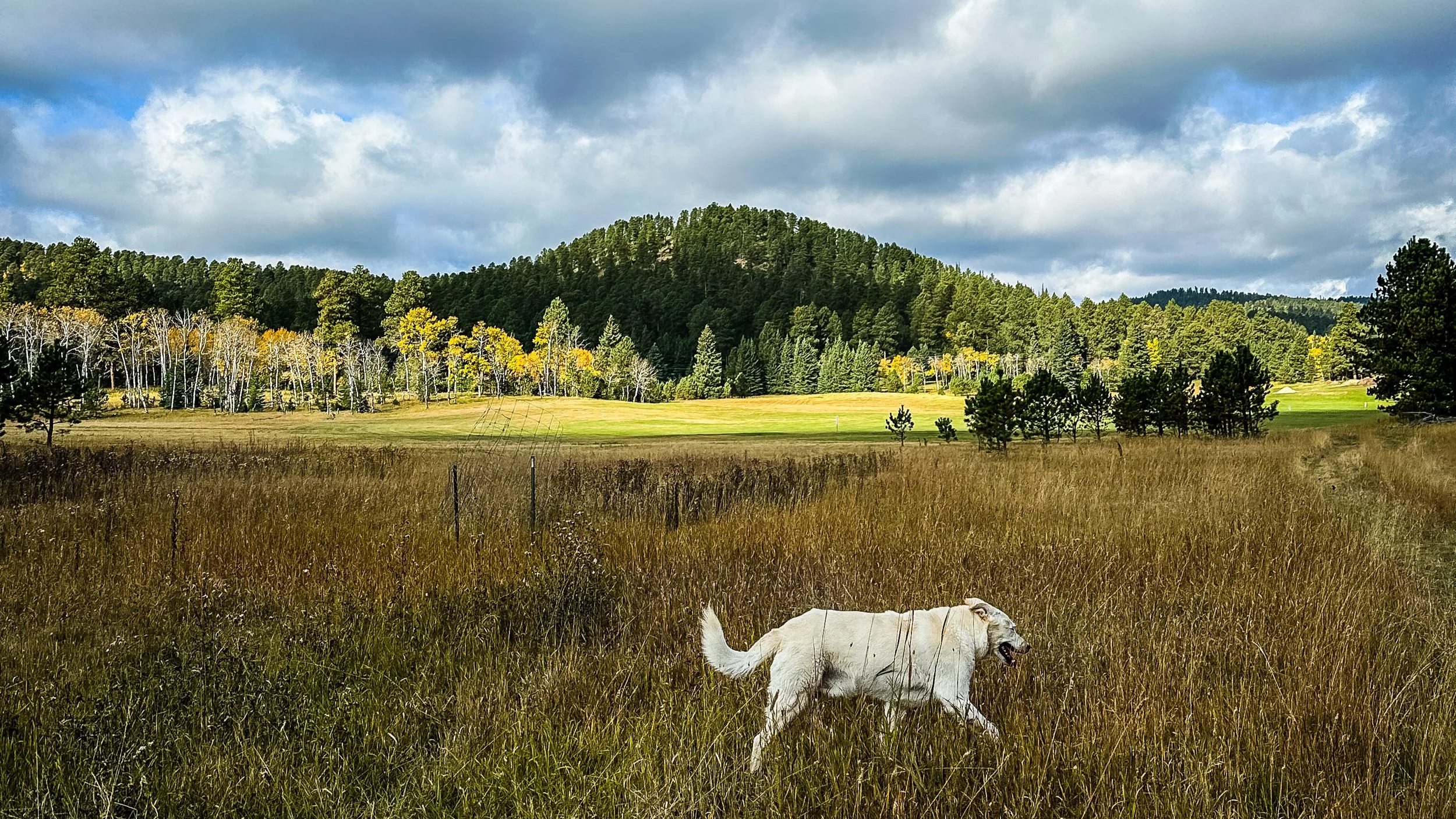 Dog-Friendly-Travel-South-Dakota