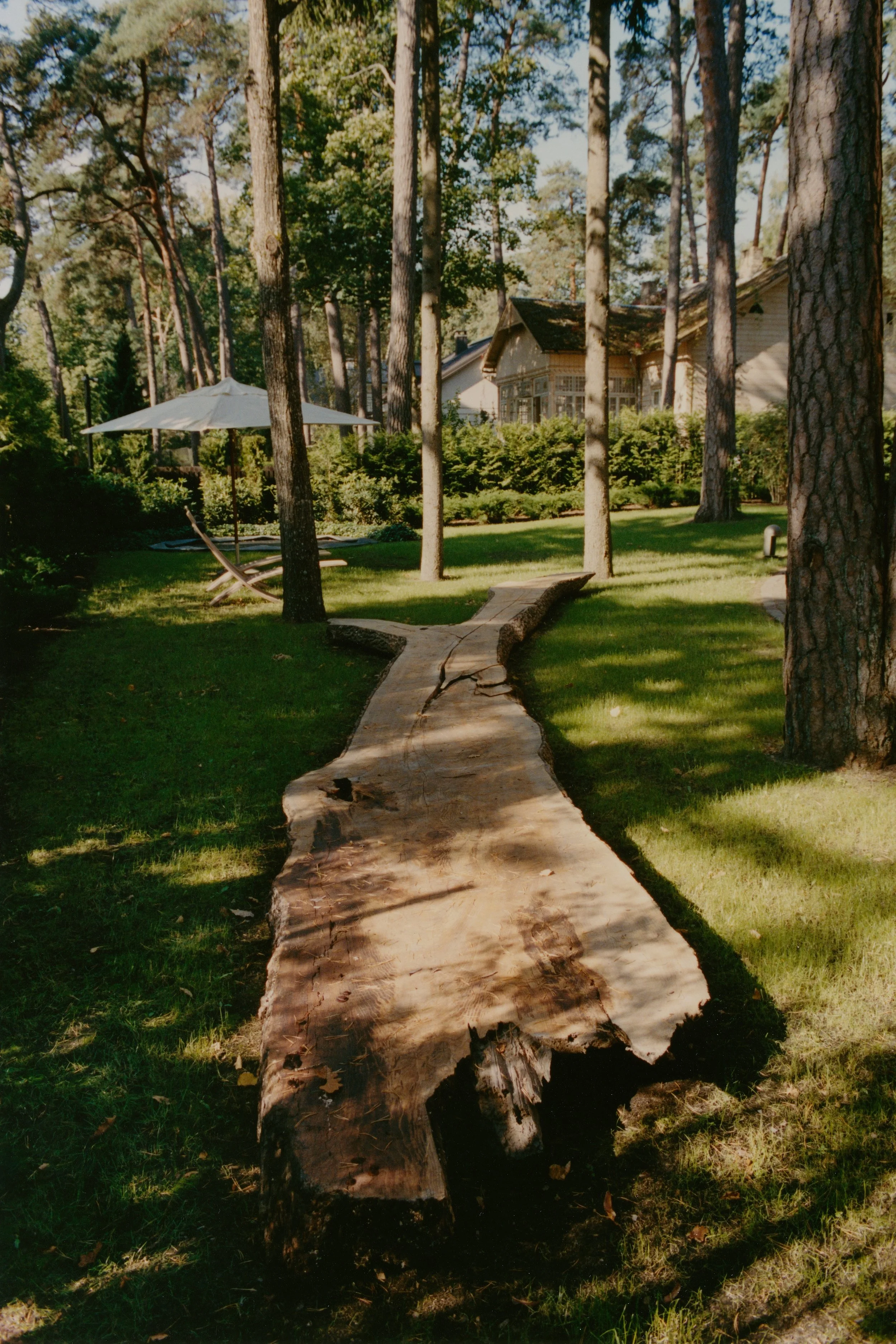 09-2025_KomareStudios_A83_198_ADave.jpg