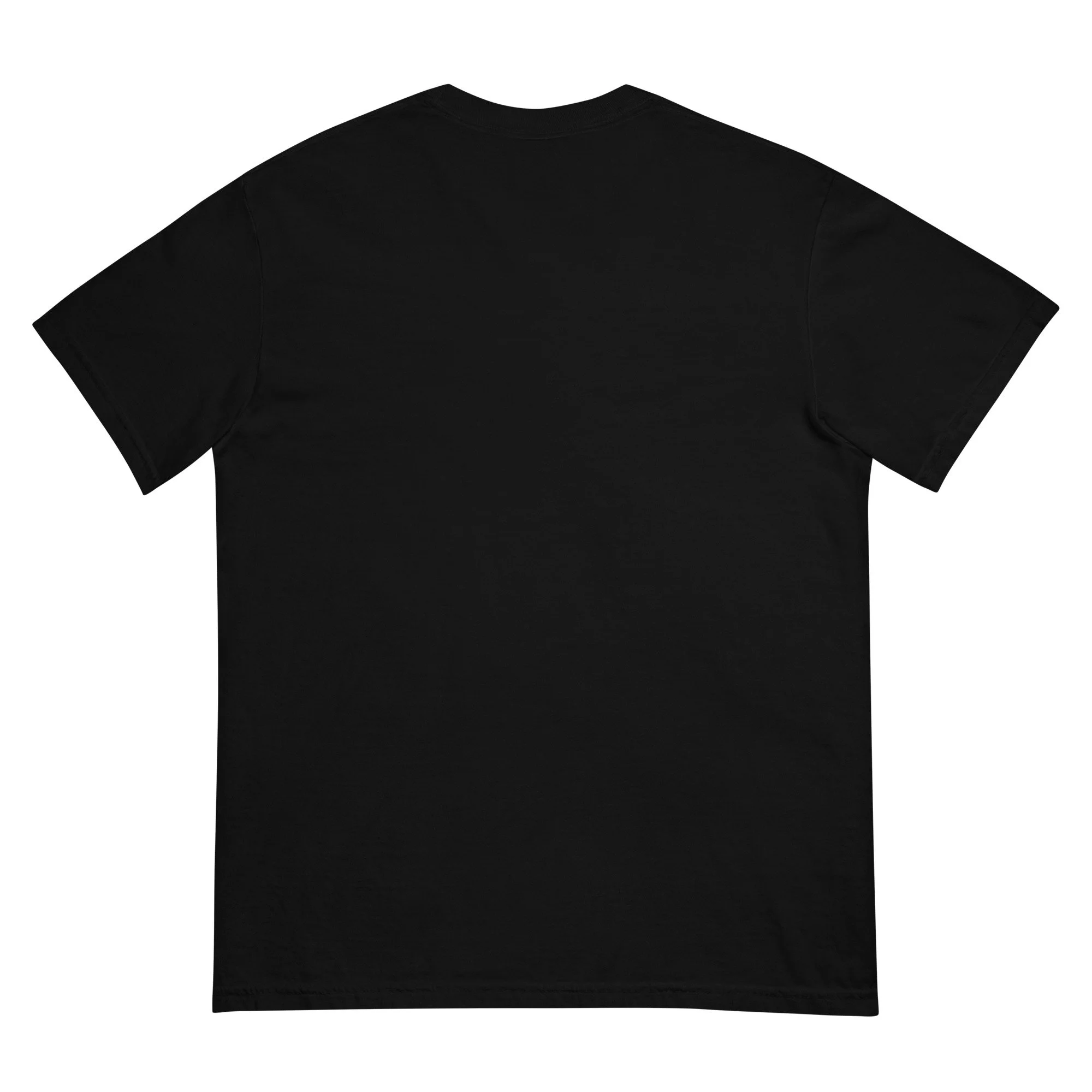 unisex-garment-dyed-heavyweight-t-shirt-black-back-672bde5e98d8b.jpg
