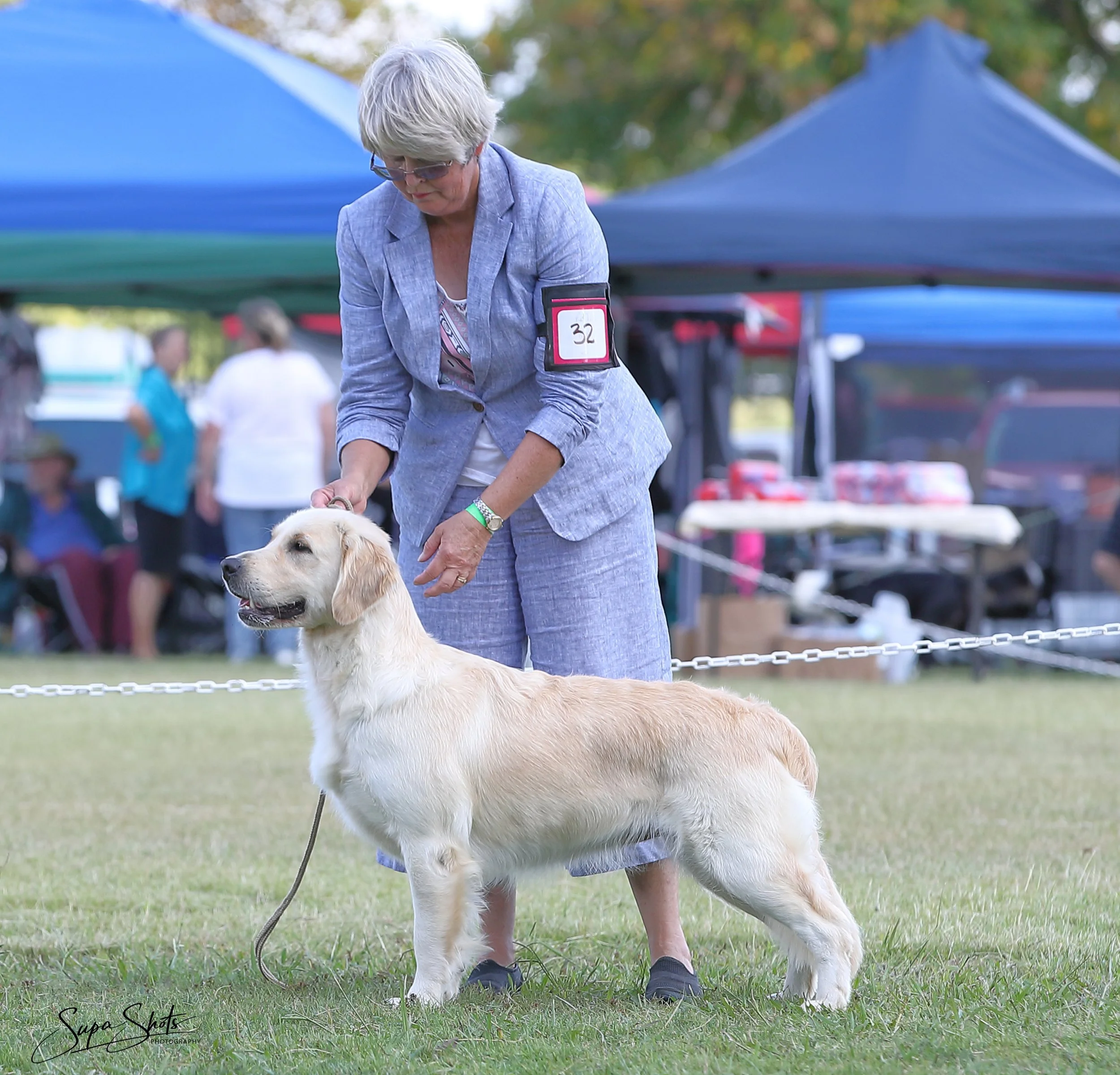 Dixie stand 2022.jpeg