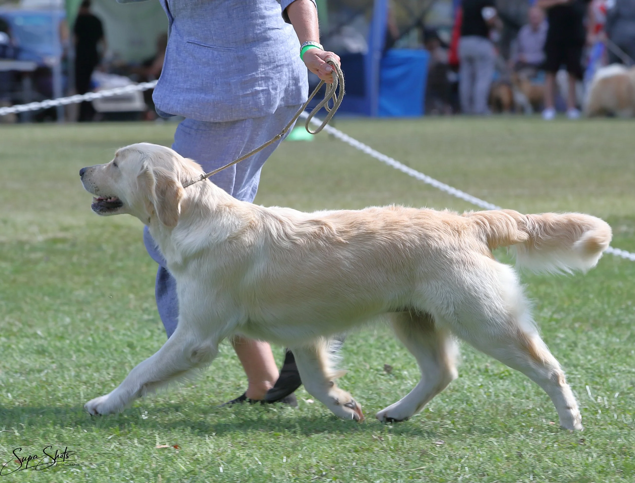 Dixie April 2022.jpeg