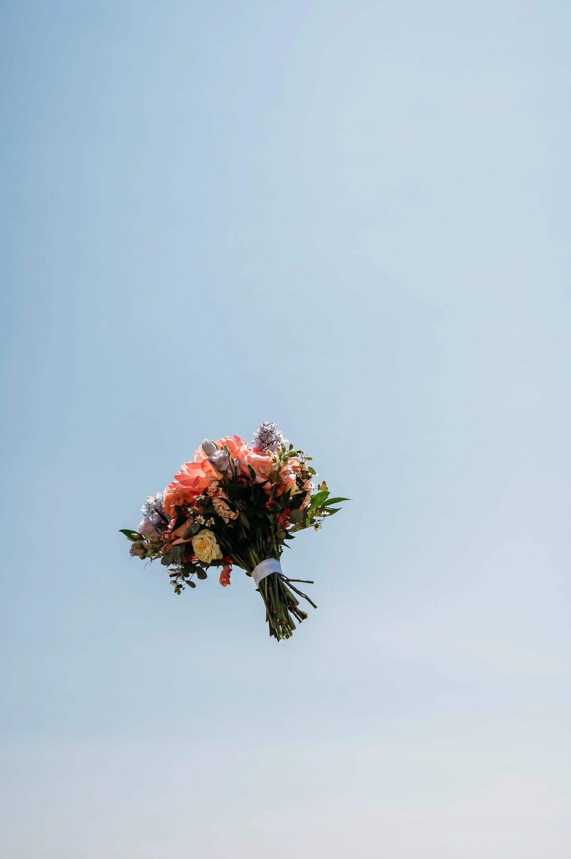 bre eulert photography manhattan ks photography liquid art winery and estate poppy & co