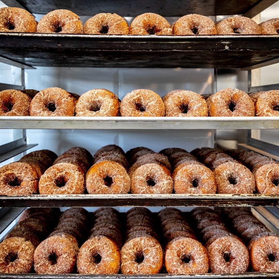 Pumpkin spice who? In September we're all about the apple cider donut life here in the Warwick Valley. If your blood type isn't &quot;cider&quot; by October, you're doing it wrong.

Show of hands, who loves warm apple cider donuts from our valley orc