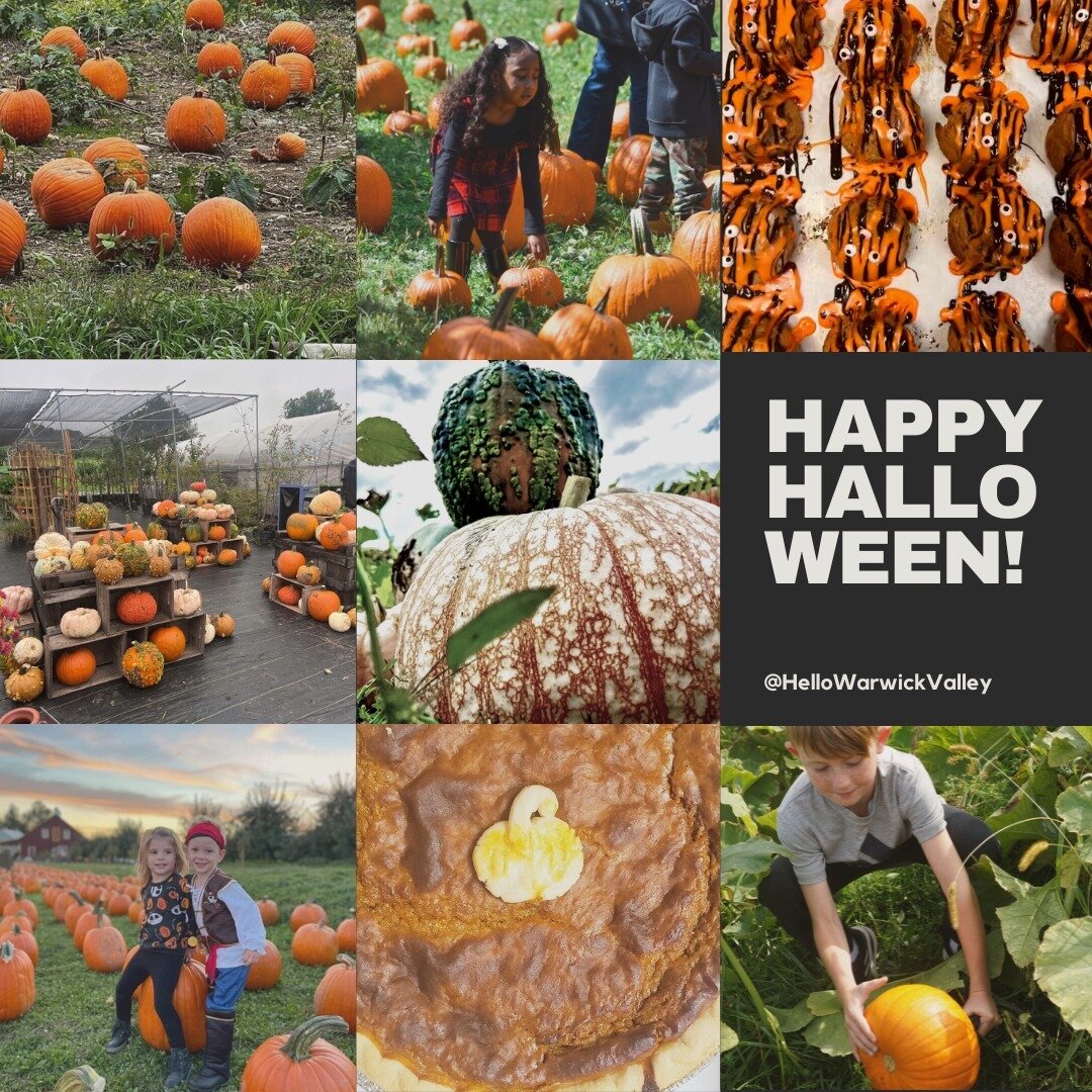 Happy Halloween!

Is there anything better than the scent of pumpkin in the air? Fall is still here, and so is our obsession with all things pumpkin!

What's your must have pumpkin treat, and where are you pickin' pumpkins here in the #WarwickValley?