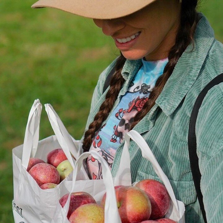 From pick your-your-own apples and pumpkin patches, corn mazes and hayrides, apple cider donuts and cider and wine tastings, we apple-aud Warwick, NY for all the ways to celebrate October! 

Pick Apples Here:
🌳 @appleridgeorchards 
🌳 Masker Orchard