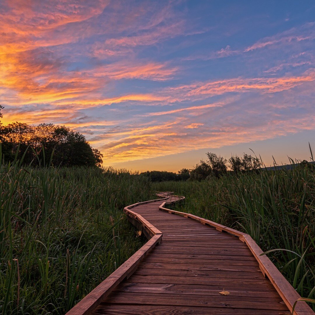 Every sunrise is a reminder that there's beauty in new beginnings. Start your day of adventure in and around #WarwickNY -- find all the things on HelloWarwickValley.com.

p h o t o: @angelo_marcialis_photography Tenuto Sunrise
#morninginspiration #he