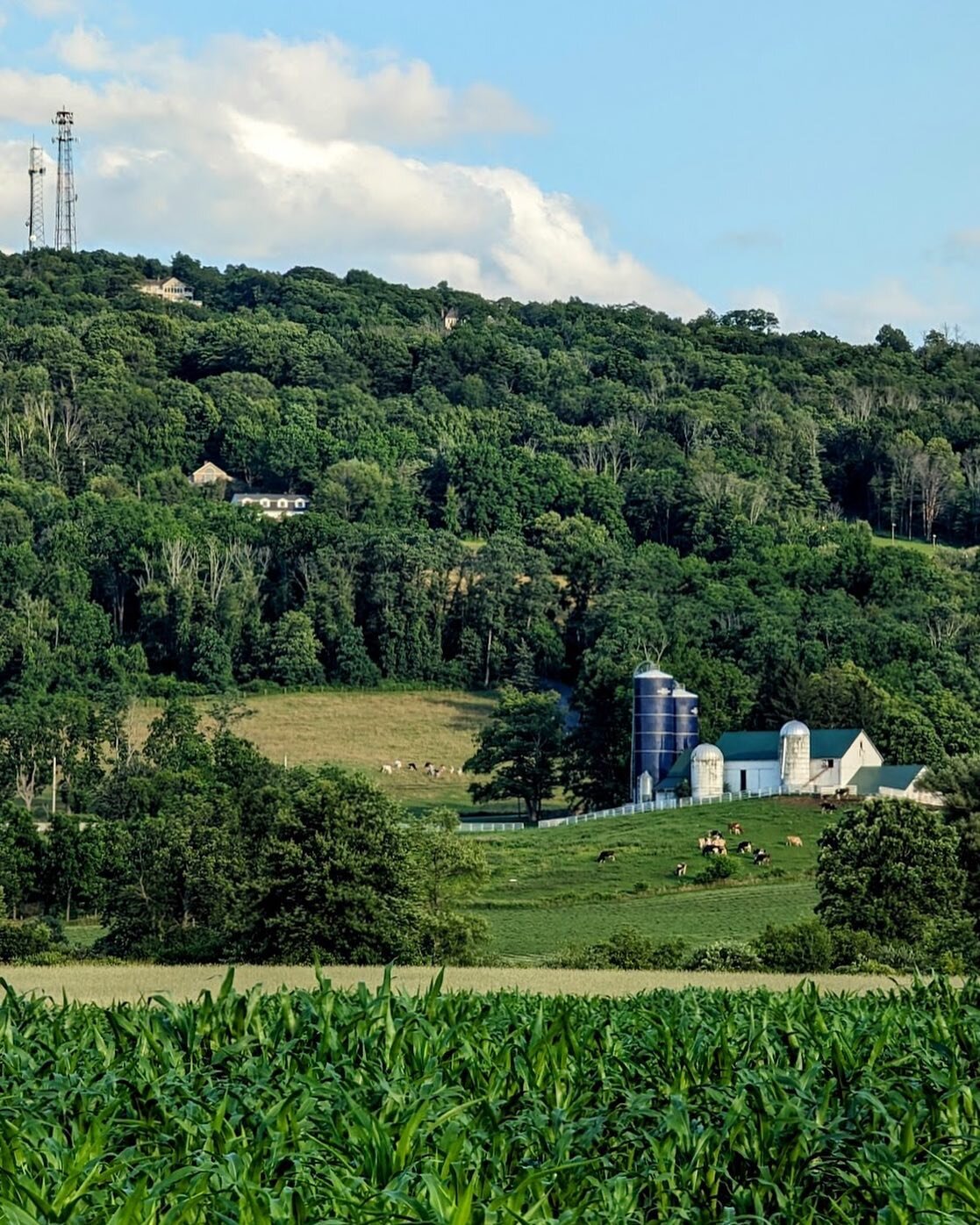 Lost in Wanderlust! 🌿 HelloWarwickValley.com lists all the places where you can actually find yourself when you lose yourself in #WarwickNY.

p h o t o: durx14 / @durzdillz / Ryan #Wanderlust #ScenicViews #NatureEscape #HelloWarwickValley #WarwickNY