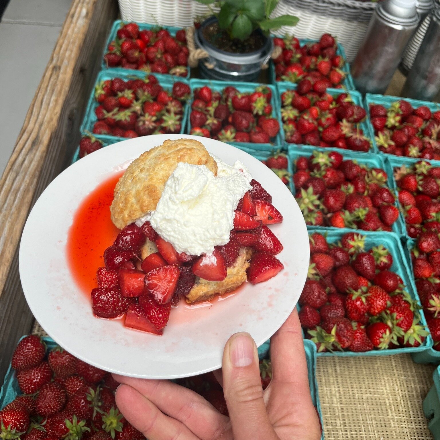 Hello strawberry season. Summer's sweetest tastes are ready...shakes, desserts, cocktails, pick-your-own...strawberries forever.

Find all the ways to devour local strawberries on HelloWarwickValley.com. 
p h o t o: @penningsfarm #strawberryseason #p