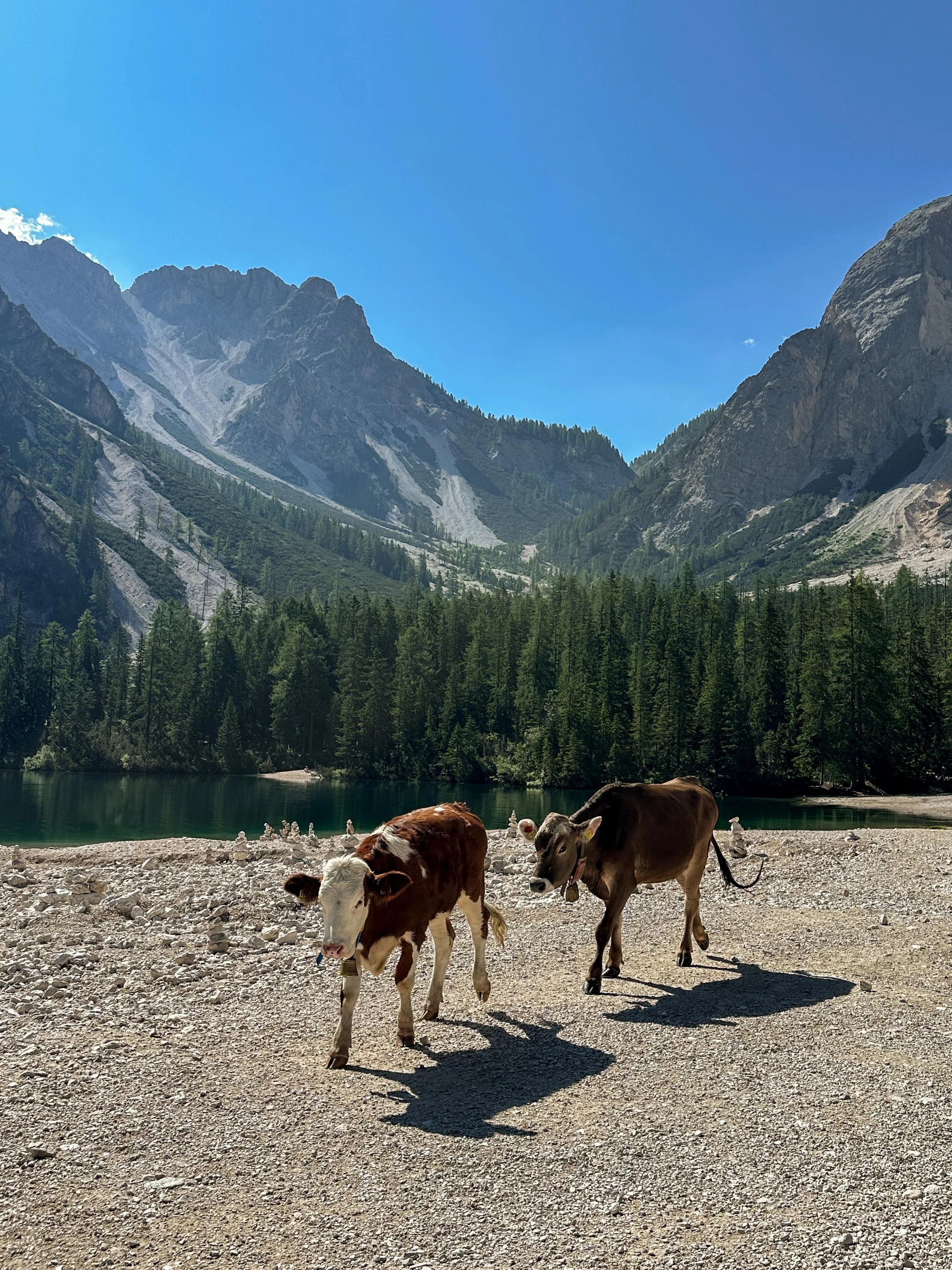 Lago di Braies