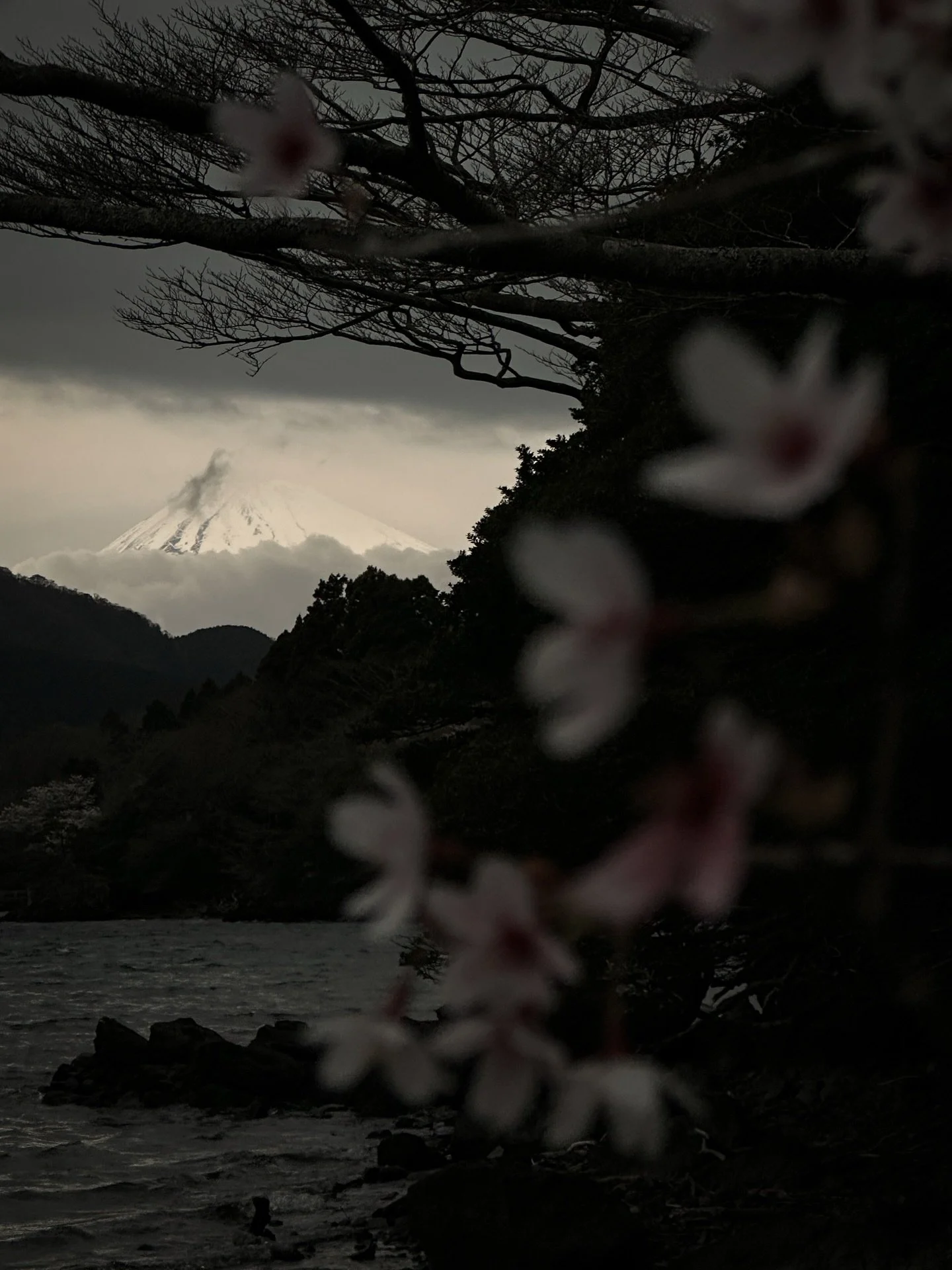 Finally saw her in person. 💛
.
#fuji #japan #mountainlife #mountfuji #sakura