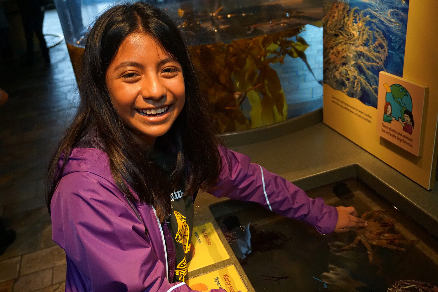  Karen touches a crab at the Monterey Bay Aquarium 