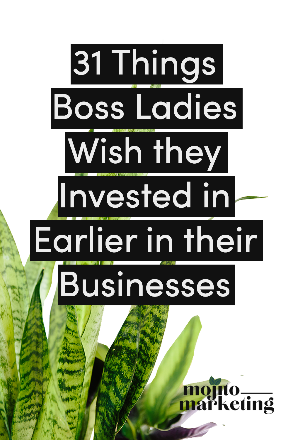 31_Things_Boss_Ladies_Wish_they_Invested_in_Earlier_in_their_Businesses_c.png