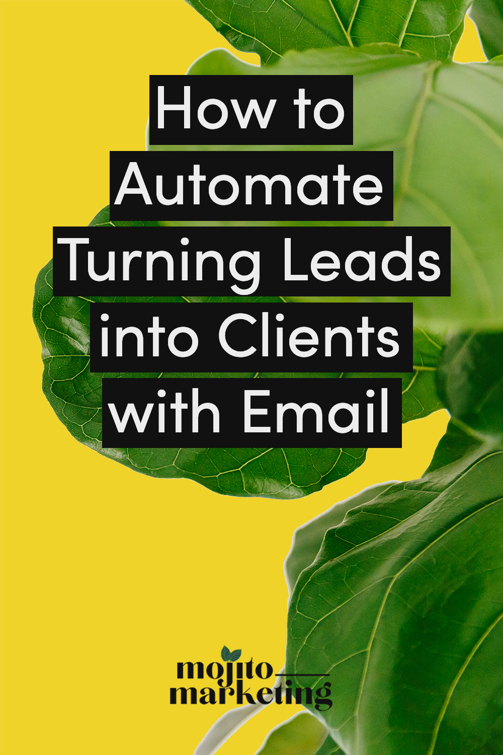 How_to_Automate_Turning_Leads_Into_Clients_B.png