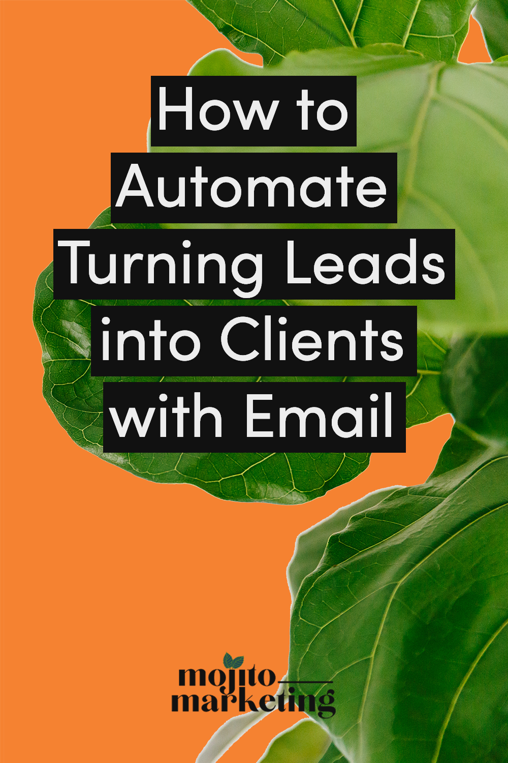 How_to_Automate_Turning_Leads_Into_Clients_A.png