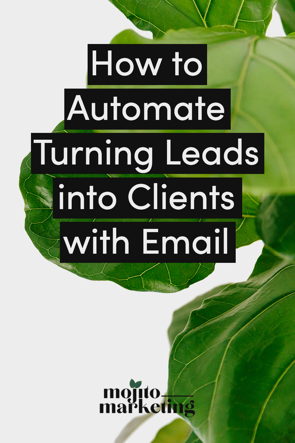How_to_Automate_Turning_Leads_Into_Clients_C.png