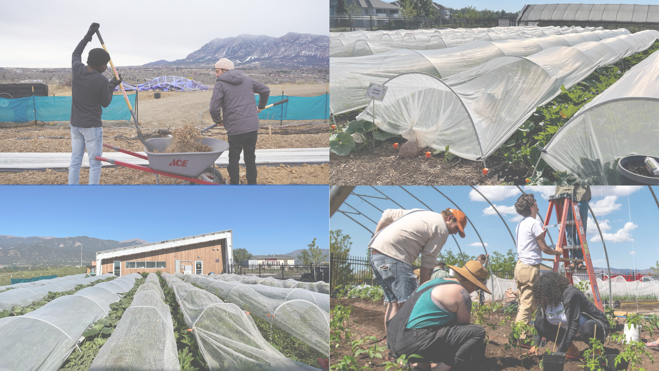 Farm Volunteer Drop-In Hours — Food to Power