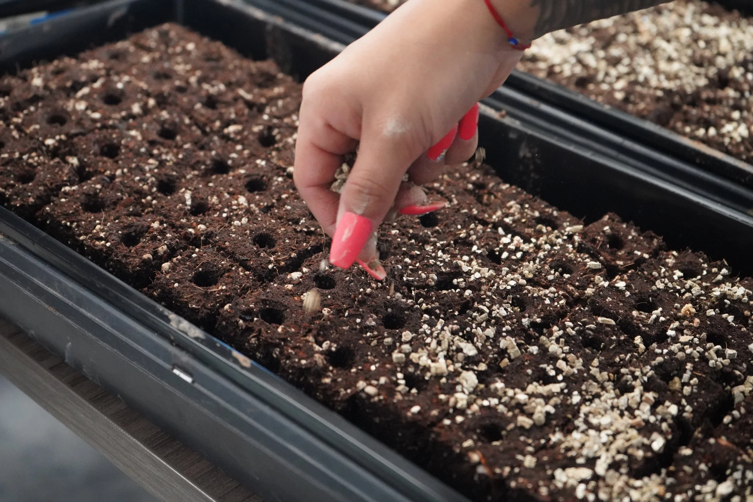 Hub closed on New Year's Day