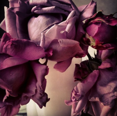 Screen Shot 2017-07-26 at 5.21.03 PM.png