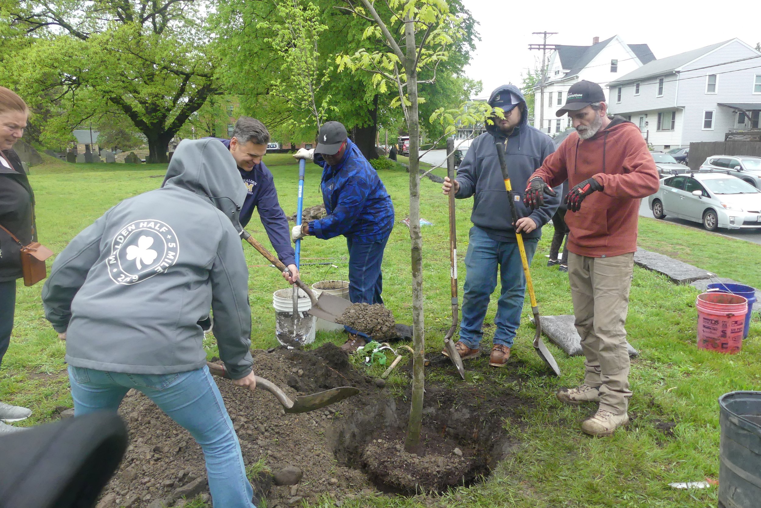 planting the Red Oak.JPG